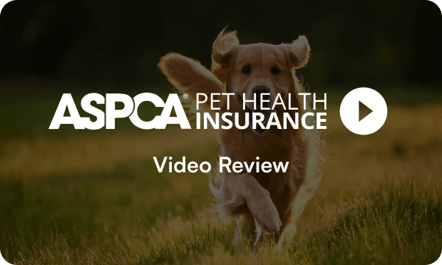 ASPCA Pet Health Insurance video review