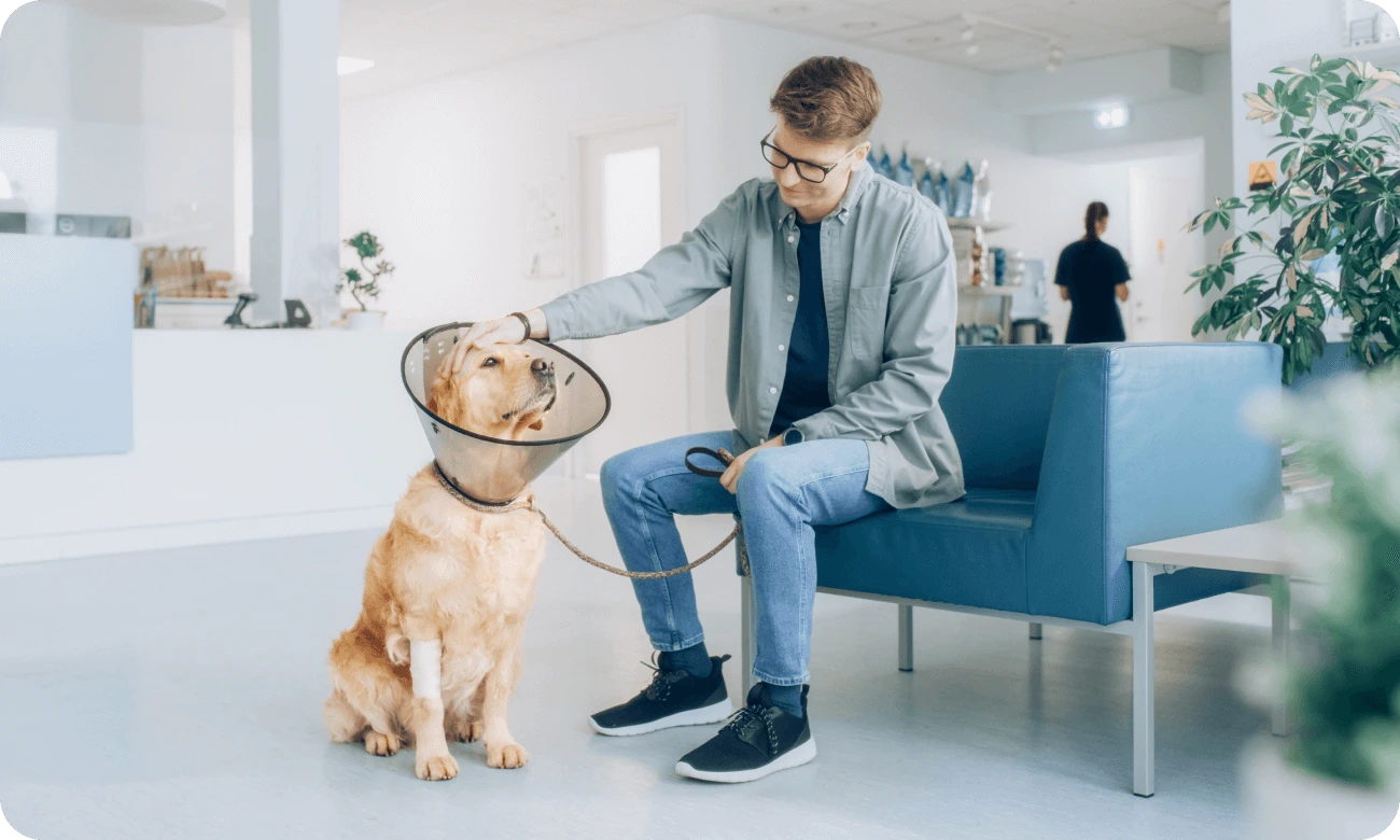 Man petting dog in vet reception