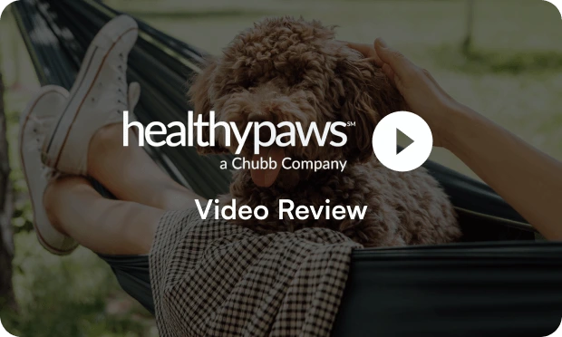 Healthy Paws video review