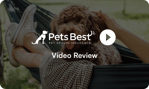 Pets Best video review